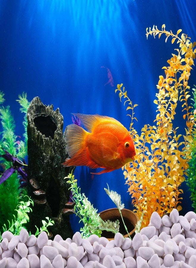 10 أرطال من صخور نهرية بيضاء من ليكوريس لتنسيق الحدائق - حصى أبيض مصقول عالي الجودة للنباتات - أحجار زينة للحديقة - 1-2 صخرة نباتية كبيرة، مثالية لأحواض السمك وديكور المنزل - Image 4